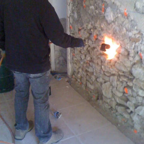 traitement contre les champignons lignivores à la flamme