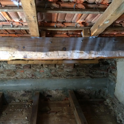 traitement charpente au xilix gel xylophène industrie traitement des insectes à larves xylophages