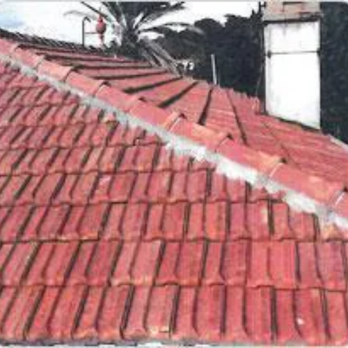 Démoussage de toiture