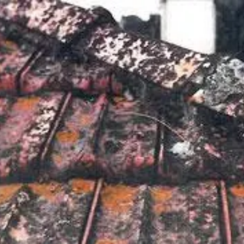 Tuiles encrassées à démousser