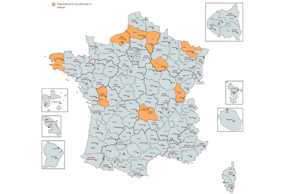 Carte Mérule Isover