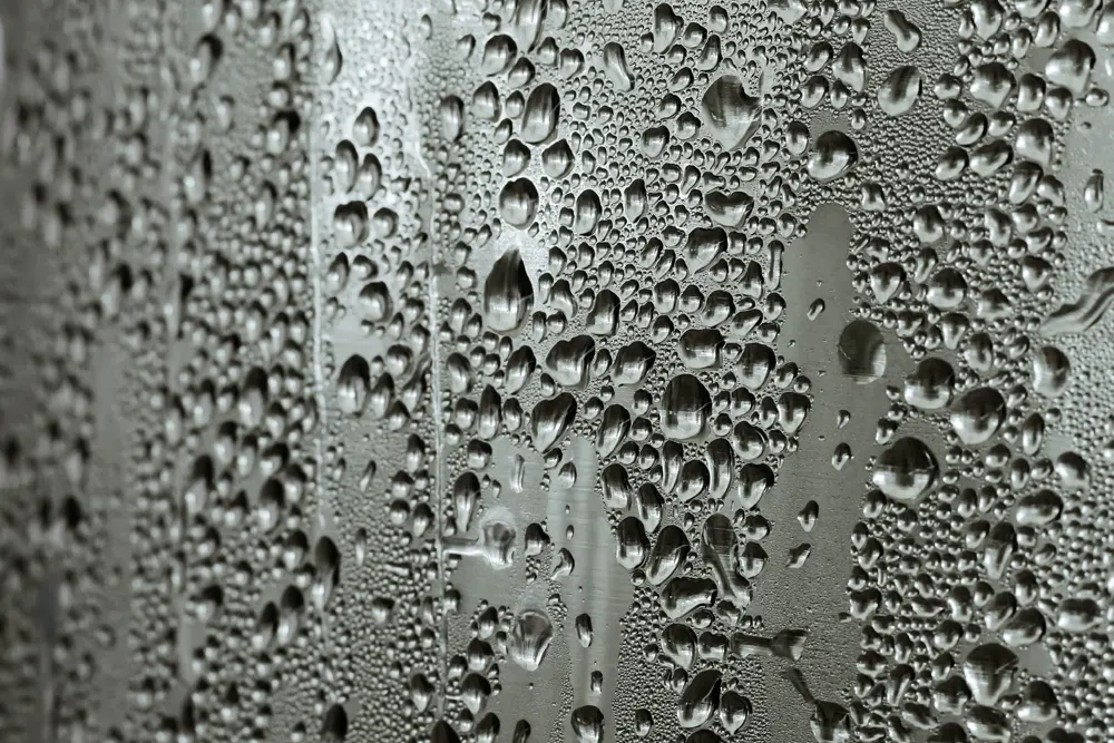Condensation fenêtre : Logement humide