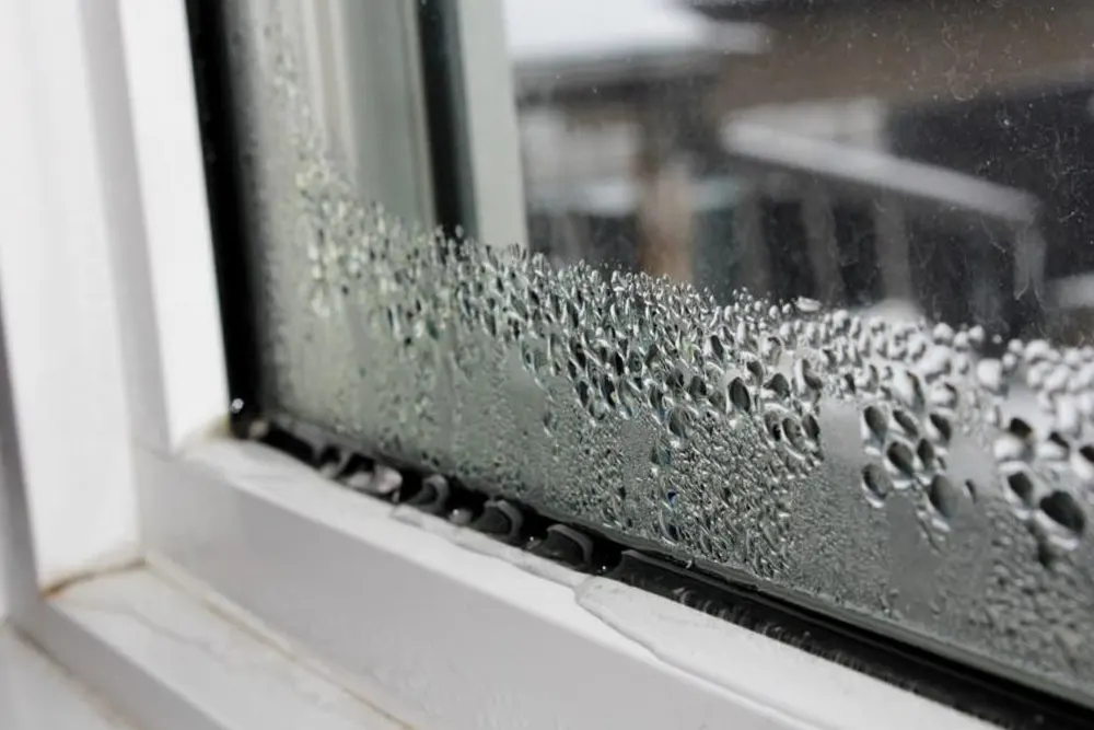 Condensation Vitres fenêtres