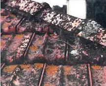 Nettoyage toiture et démoussage