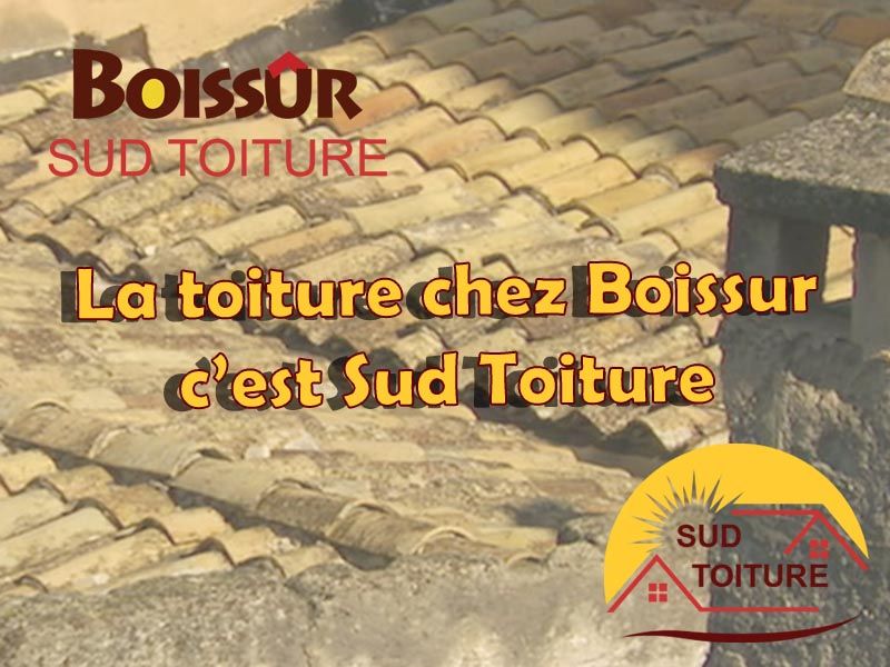 réfection toiture sud toiture