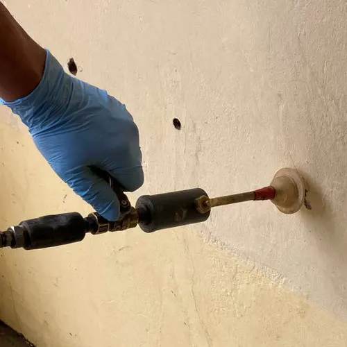 Injection produit insecticide